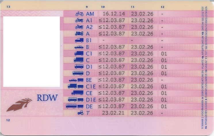 Rijbewijs 2021 zonder SoFi.jpg