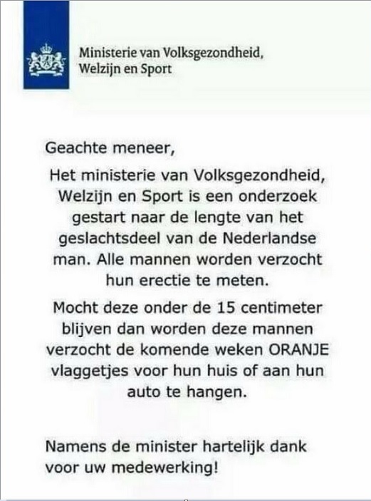 Oranje vlaggetjes.jpg